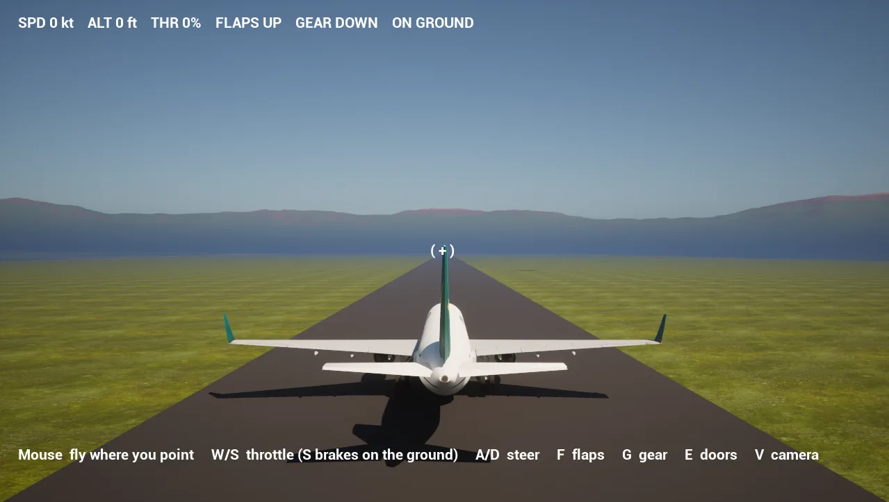 The airliner lined up on the runway with the mountains ahead and the readout showing 0 knots, flaps up, gear down, on the ground